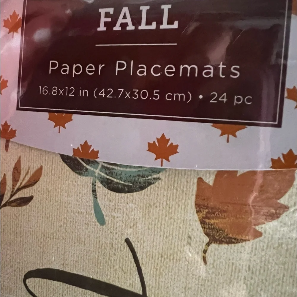 NWT-“So Very Thankful” 24 Placemats